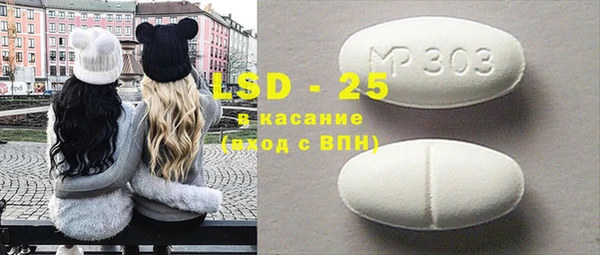индика Осташков