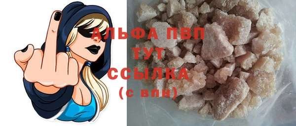 индика Осташков