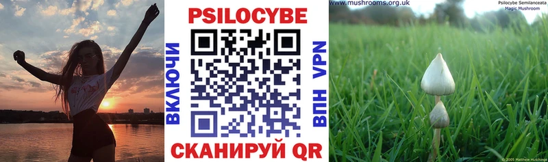 Галлюциногенные грибы мухоморы  гидра маркетплейс  Советская Гавань 